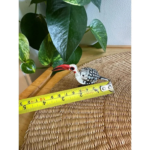 Southern Red-Bill Horned bird decor - Picture 3 of 7